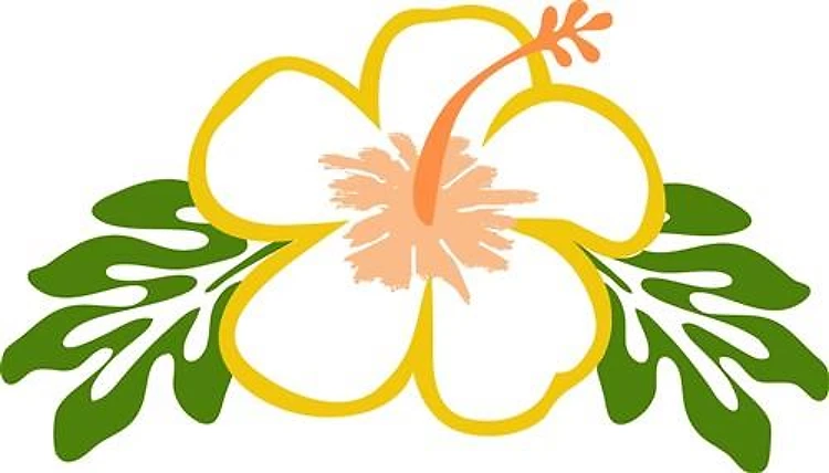 Hibiscus Flower Applique