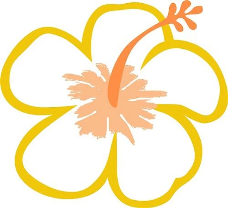 Hibiscus Applique