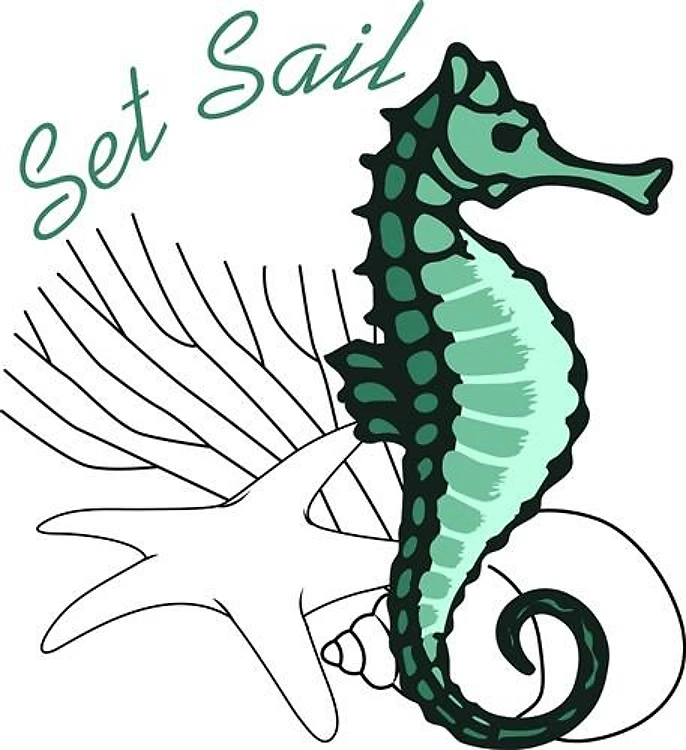 Set Sail