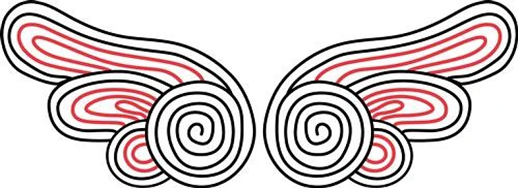 Paisley Wings