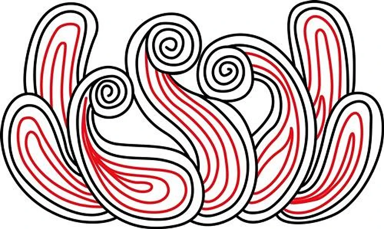 Paisley Swirl