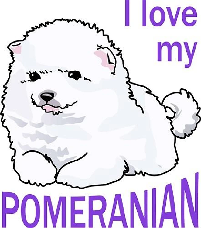 Love My Pomeranian