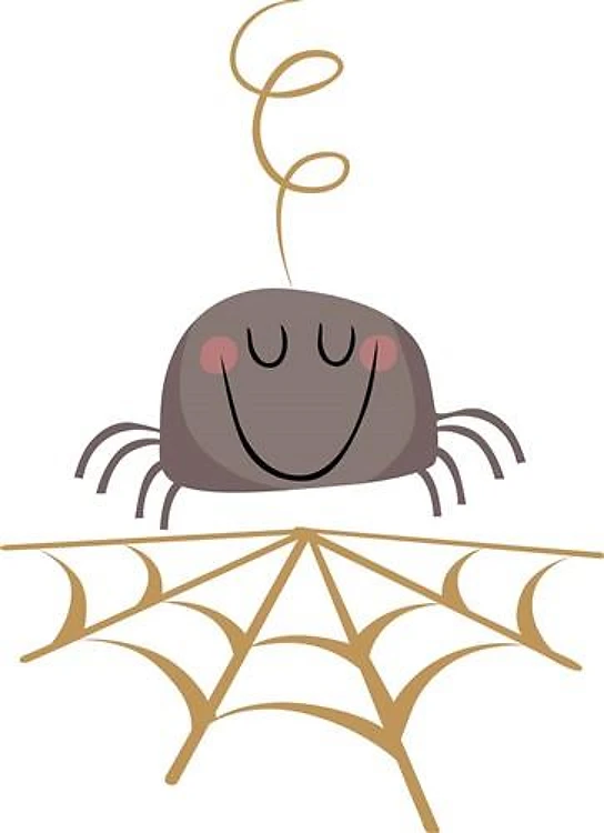 SPIDER AND WEB
