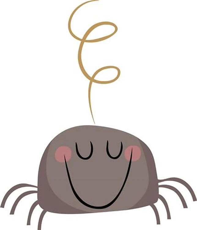 SPIDER