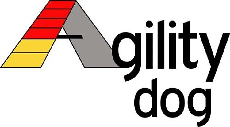 AGILITY DOG