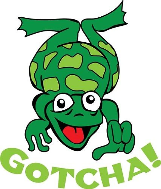 GOTCHA FROG