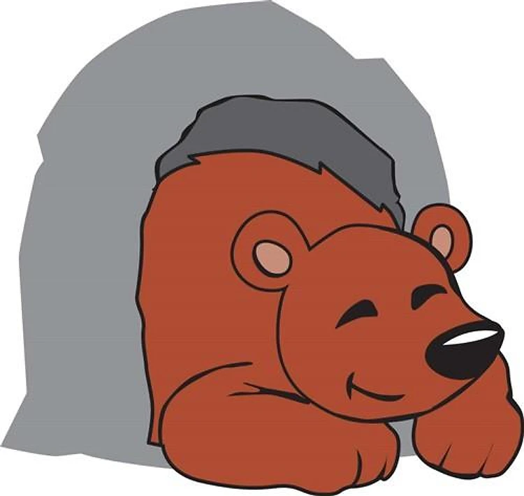 HIBERNATING BEAR