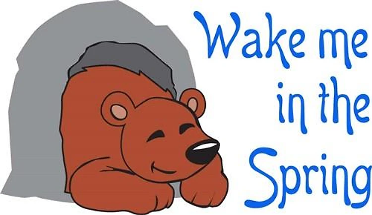 WAKE ME IN SPRING