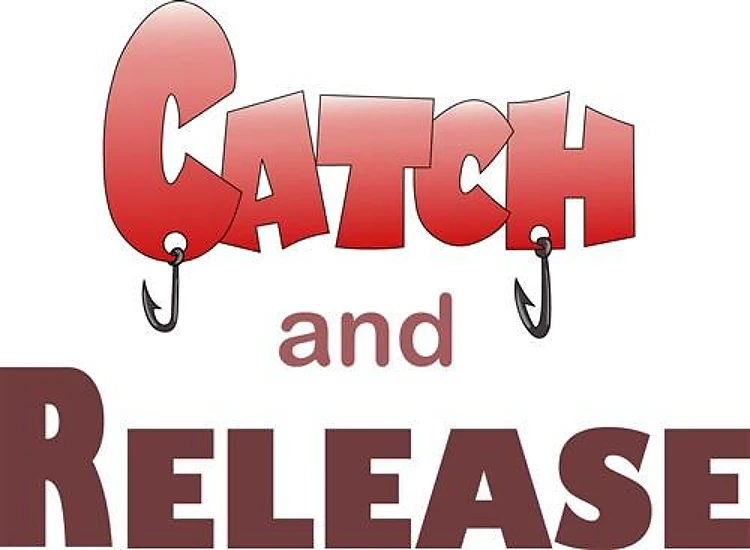 CATCH AND RELEASE