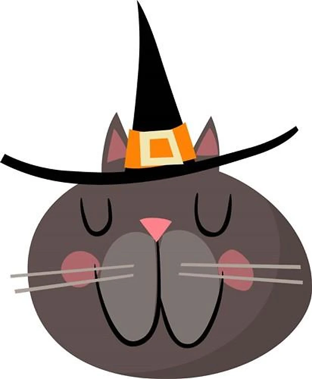 CAT WITH WITCH HAT