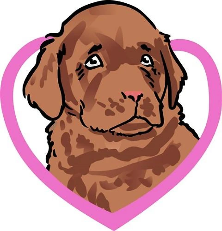 CHOCOLATE LAB LOVE