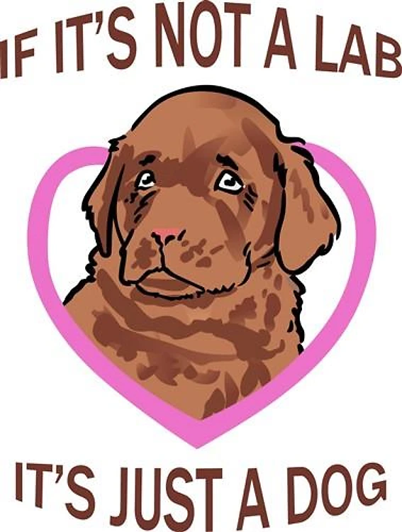 IF ITS NOT A LAB