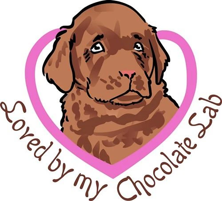LOVED BY MY LAB