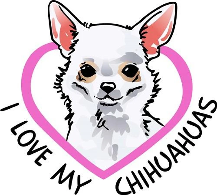 I LOVE MY CHIHUAHUAS