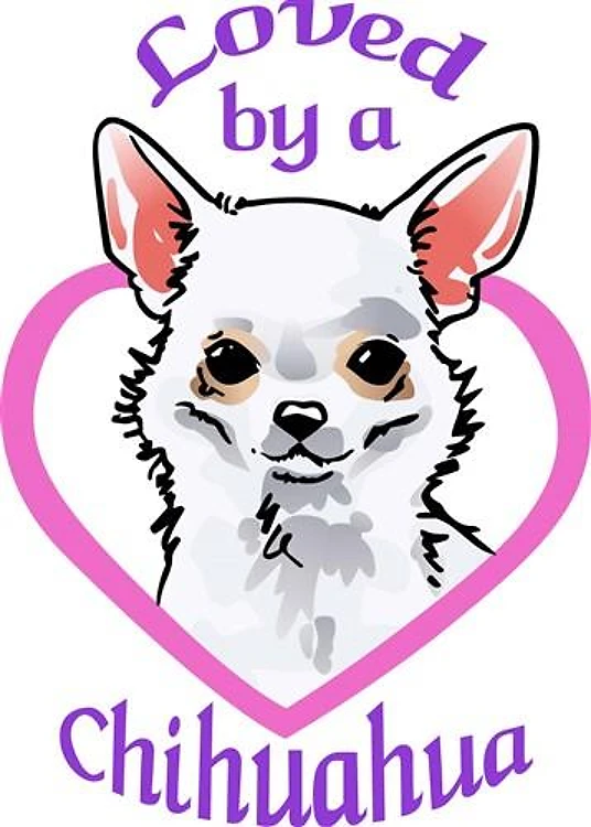 LOVED BY A CHIHUAHUA