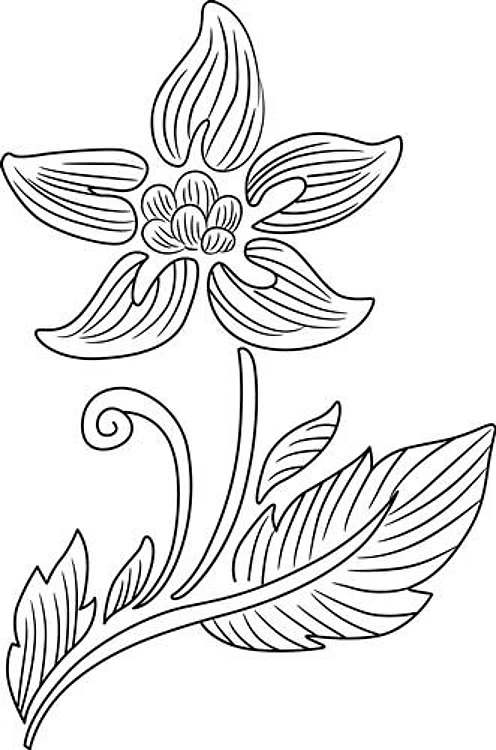 BOTANICAL FLOWER