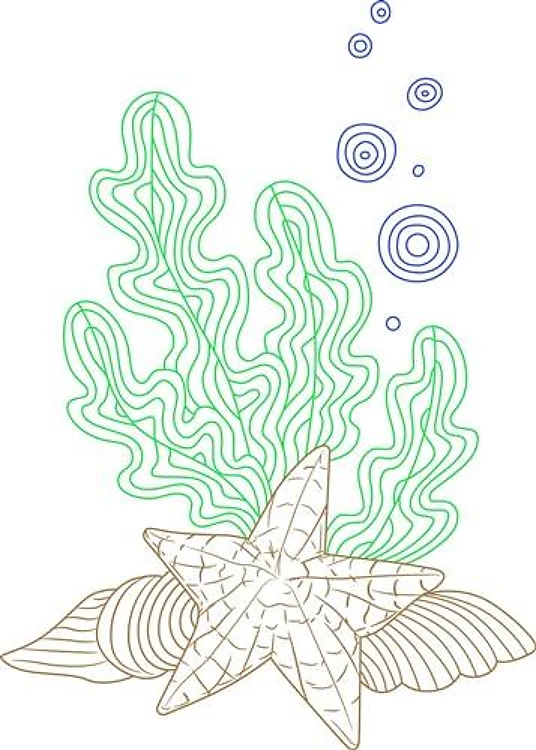 BOTANICAL NAUTICAL