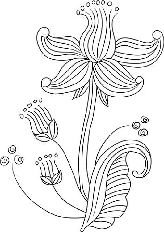 BOTANICAL FLORAL