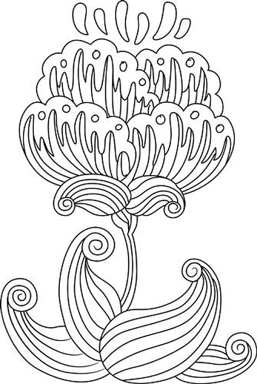 BOTANICAL FLORAL