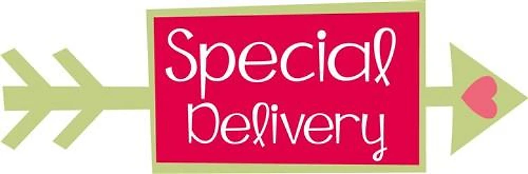 SPECIAL DELIVERY