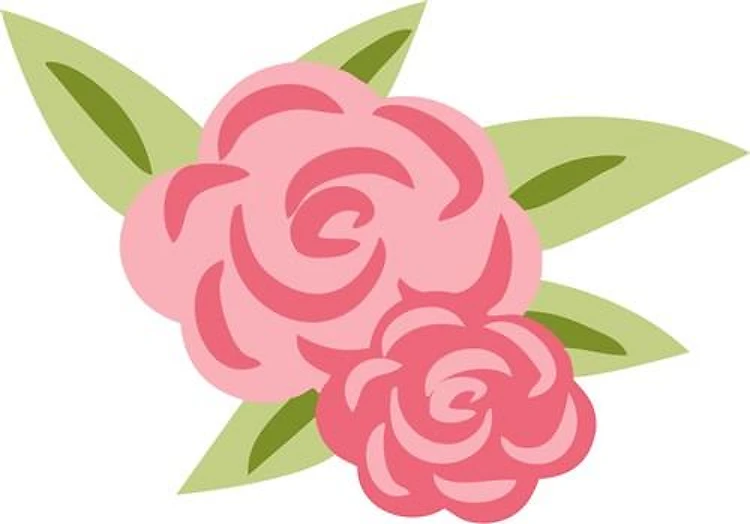 ROSE ACCENT