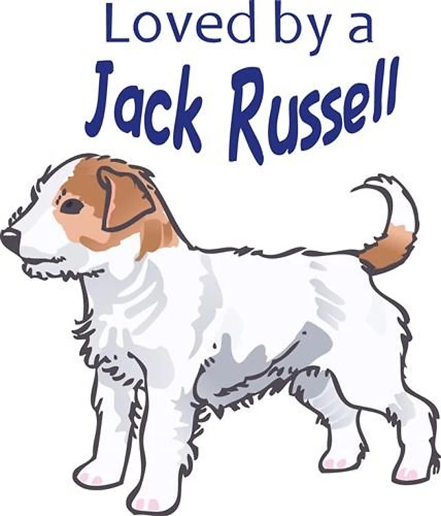 LOVED BY A JACK RUSSELL