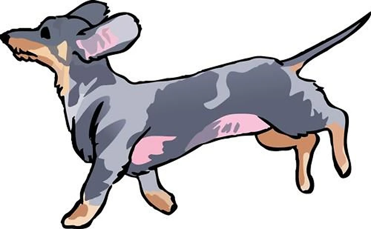 RUNNING DACHSHUND
