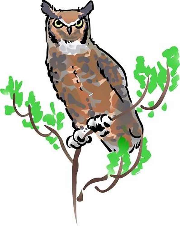 GREAT HORNED OWL