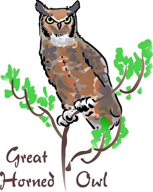 GREAT HORNED OWL