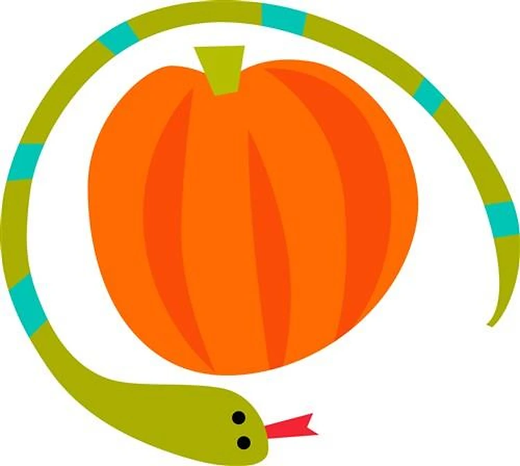 SNAKE AND PUMPKIN