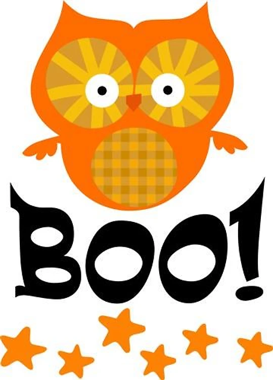 BOO OWL