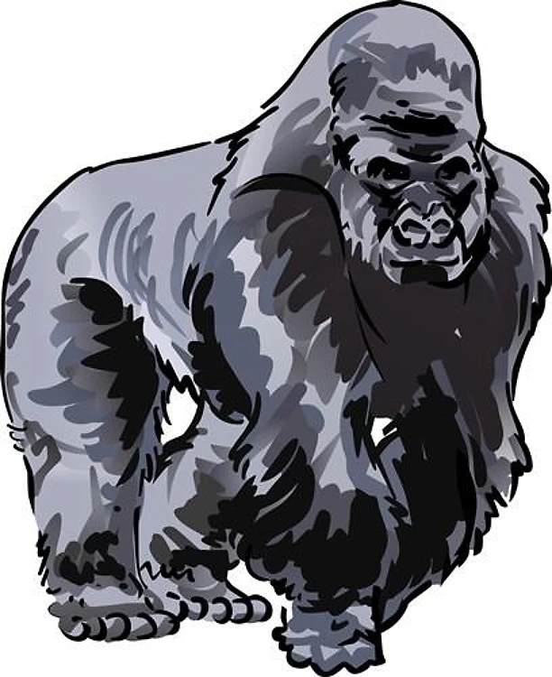 SMALLER SILVERBACK GORILLA