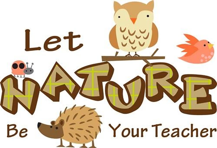 LET NATURE BE YOUR TEACHER