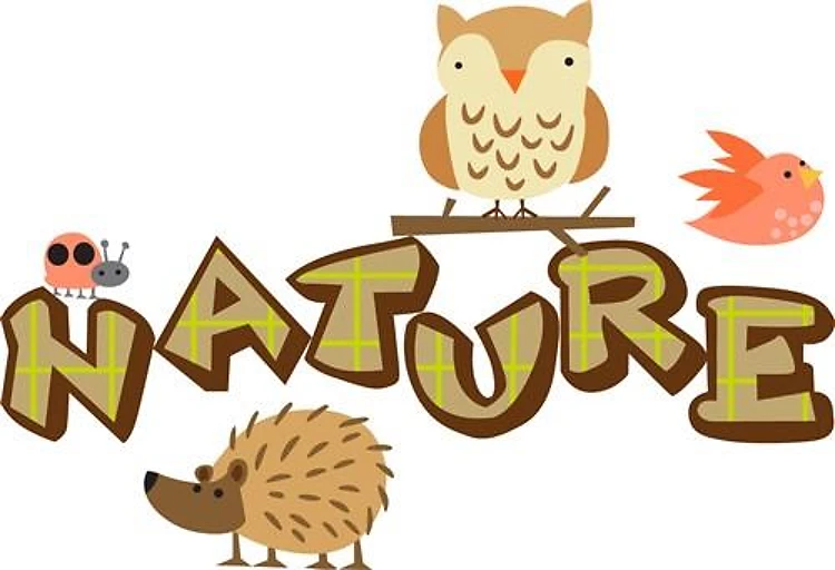 WOODLAND NATURE