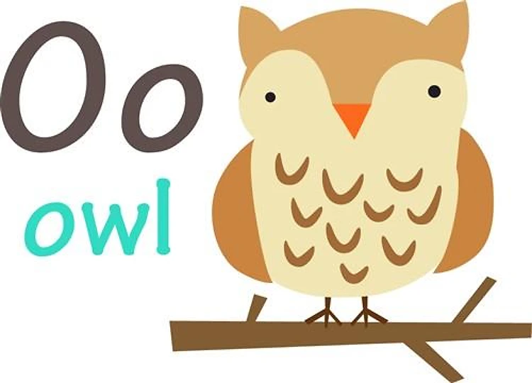 O FOR OWL