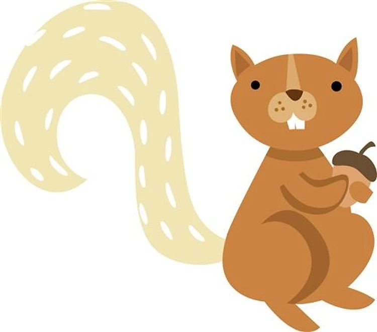 WOODLAND SQUIRREL