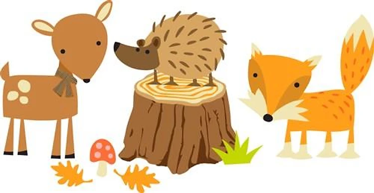 WOODLAND ANIMALS