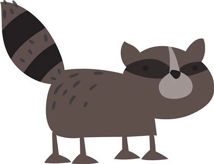 RACCOON