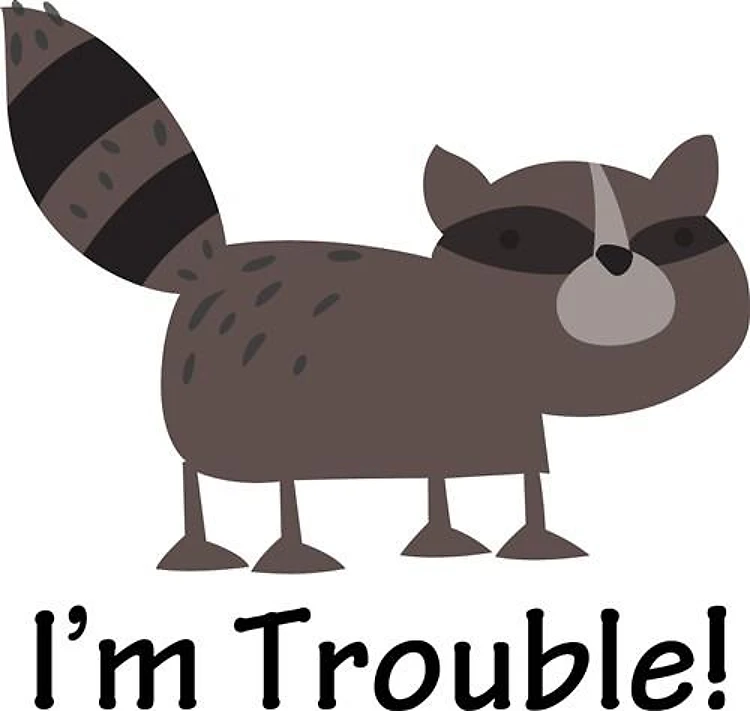 IM TROUBLE RACCOON