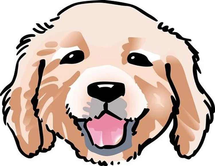 GOLDEN RETRIEVER PUPPY
