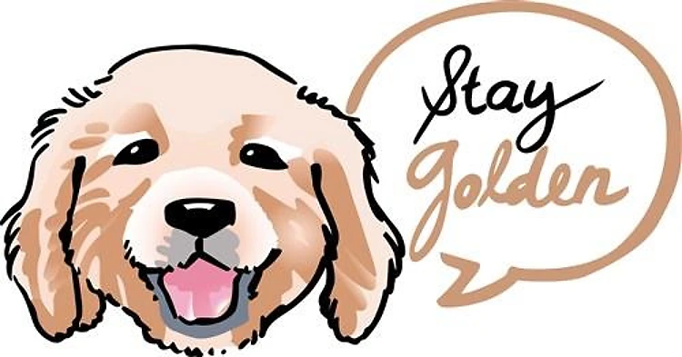 STAY GOLDEN