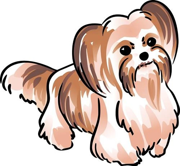 MI KI DOG