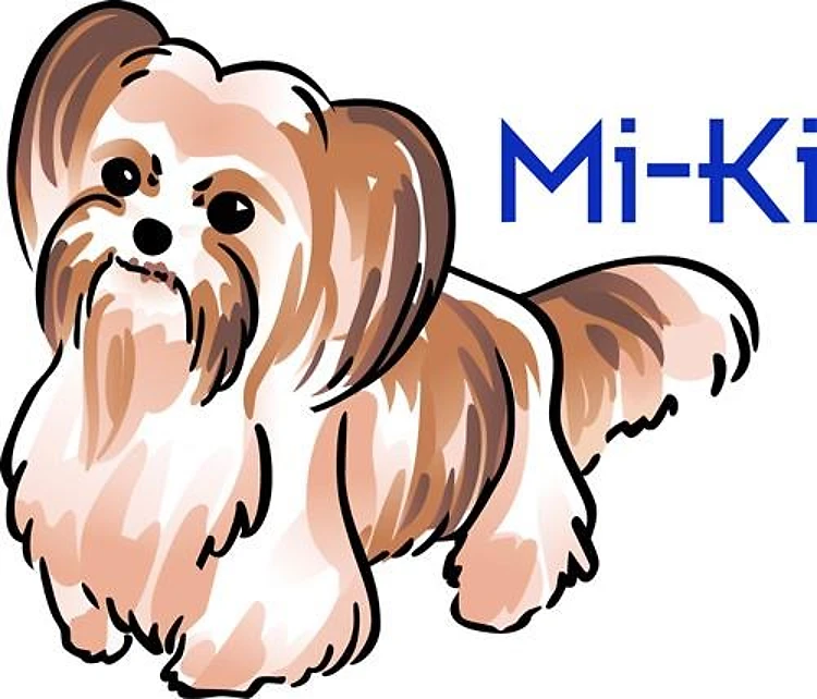 MI KI