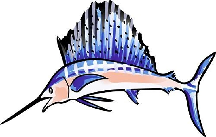 SAILFISH