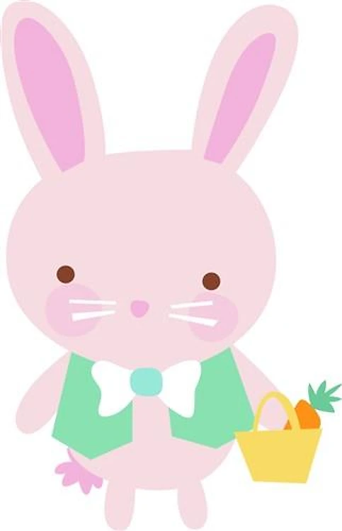 EASTERBOY BUNNY