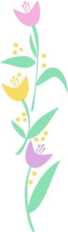 TULIP BORDER