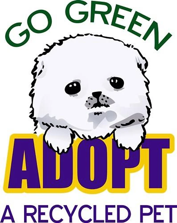 ADOPT RECYCLED PET