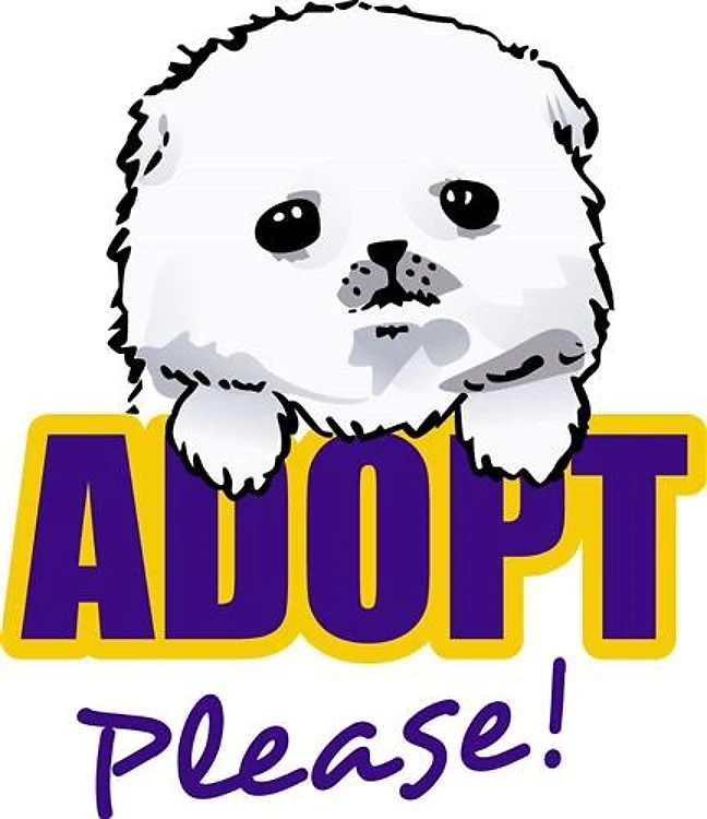 ADOPT PETS PLEASE
