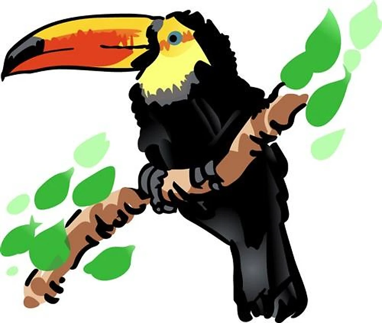 TOUCAN
