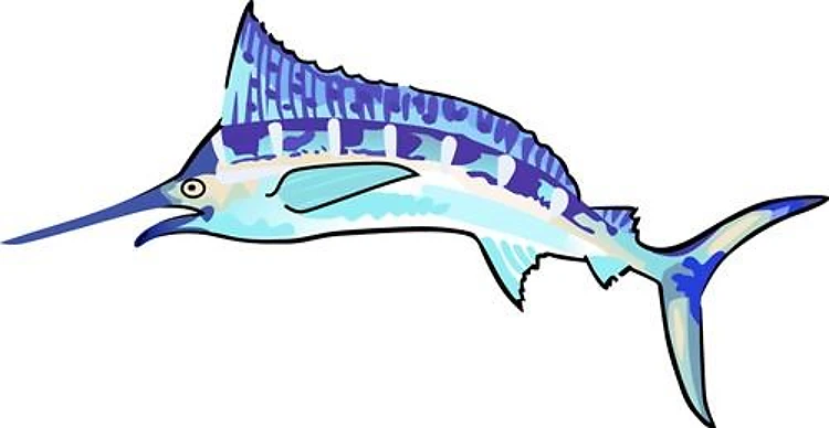 BLUE MARLIN